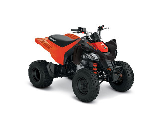 Can-Am DS 250 '21